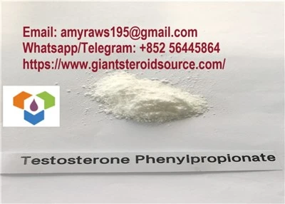 Phenylpropionate de testosterona Retandrol Polvo de base de testosterona Phenylpropionate CAS 1255-49-8