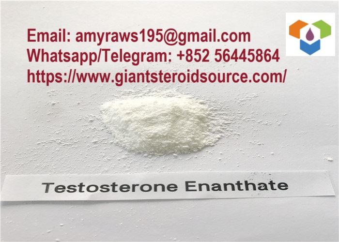 Polvo crudo de enantato de testosterona