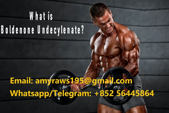 news-703-469 news-703-469