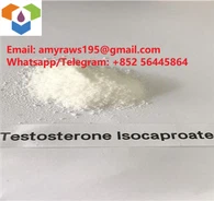 Culturismo testosterona polvo crudo testosterona isocaproato CAS 15262-86-9